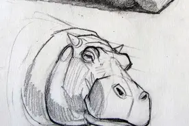 简单的小动物，素描起来可是一点也不简单呢图片