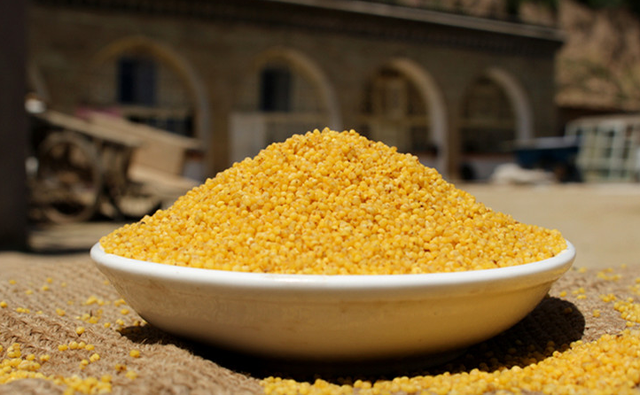 鍝噷灏忕背璐ㄩ噺濂斤紵鐗㈣4涓骇鍦帮紝钀ュ吇浠峰€奸珮锛岀叜绮ラ绯矘绋犵背娌瑰帤