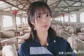养猪100问，猪场百科大全—猪知乐整理图片