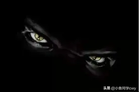 十大禁曲之“第十三双眼睛”图片