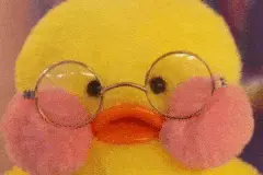 表情包｜你怎么傻fufu的？图片