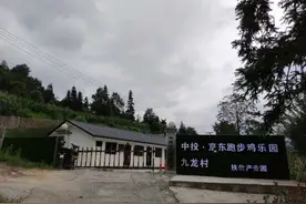 京东的跑步鸡 ，跑出了一个自有扶贫品牌矩阵图片