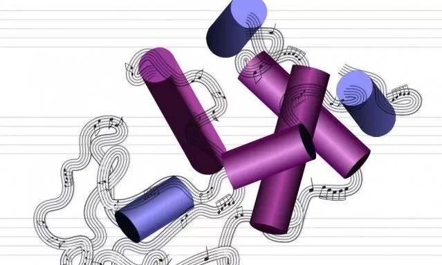 MIT新研究：用AI把氨基酸序列编码成曲子，还能“创造”新蛋白质