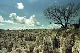 靠“鸟粪”暴富的国家，全民跑车成标配，结果矿挖完了全国傻眼了图片