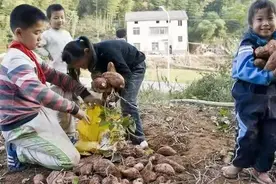 我和奶奶的艰苦岁月图片