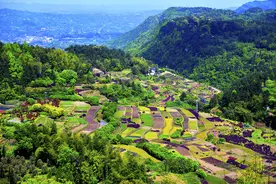 美丽的七彩梯田，它就在重庆江津的太公山风景区图片