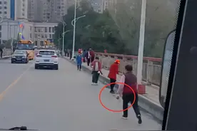 1斤能卖300元！湖北十堰臭虫泛滥，市民在车道上疯捡，它有何用？图片