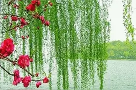 上联：风吹口哨撩柳妹，邀对下联图片