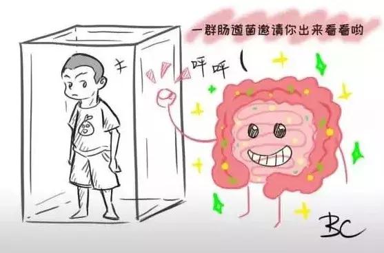 世界自闭症日：从肠道出发，治疗自闭症