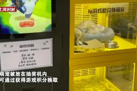 商场内现活猫、活犬抽奖机，网友质疑其虐待动物！涉事企业最新回应来了图片