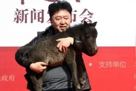 “相声皇后”于谦：“不装了”，我真的很有钱，相声只是副业图片