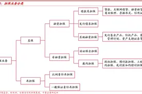 担保公司近况大全（2021最新）图片