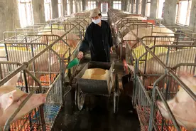 养殖常用的多维，你选对了吗？图片