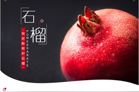 让你“榴”恋其中——突尼斯软籽石榴图片