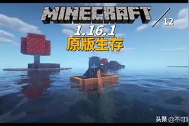 酱！找不到丛林… 我的世界1.16.1原版生存 / 12图片