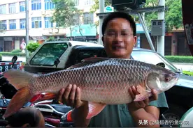 土鲮鱼最喜欢吃什么味型的食物？土鲮鱼的觅食习性和垂钓技巧图片