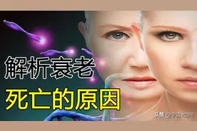 人为什么会衰老死亡，什么因素限制了你的寿命？图片