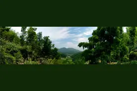 刚刚宣布！南昌这些地方要火！快看看在你家附近吗（下）图片