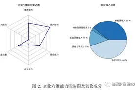 （37分）东旭蓝天（000040.SZ）基本面研究简报（谛听版）图片
