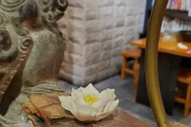 小美为什么没说实话：善意的谎言和夫妻间的诚实图片