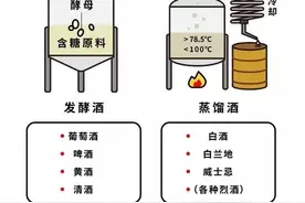 发酵酒和蒸馏酒，你还是傻傻分不清吗？图片