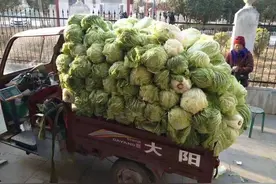 95后服装工辞职去卖菜，月收入30000，聪明人看不上的“土”办法图片