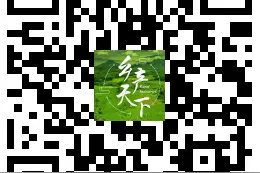 今年农业产业强镇怎么申报？这里有具体要求和模板图片