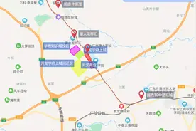 窝里斗！强龙能压地头蛇？图片