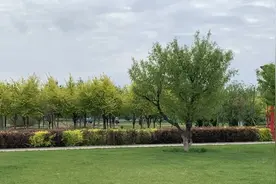 心旷神怡健身地 凌河公园醉游人图片