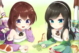 让低配Linux服务器更好地运行，Swag分区使用方法图片