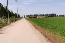 上海崇明东风农场，现在又是什么样，多少人的青春回忆图片