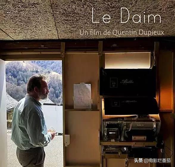 ��13����Ƭ������һ����Ӱ�ڣ������и���