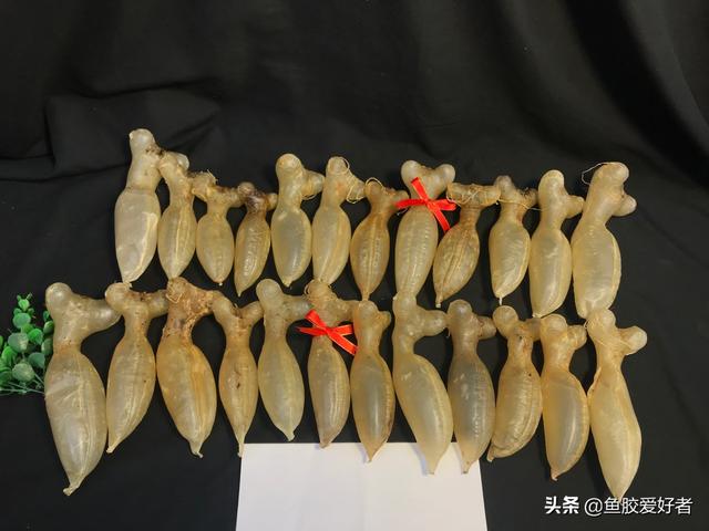 蜘蛛鱼胶图片价格 蜘蛛鱼胶功效作用