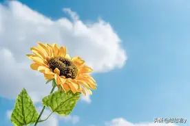 其实，越是少言少语的男人，越是靠谱图片