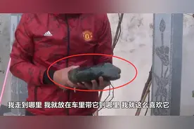 东北大叔野外捡到一块“乌龟石”，专家称是顶级宝物，估1.2亿元图片