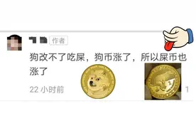 币圈疯了：炒完狗币炒屎币，下一步是炒LowB？图片