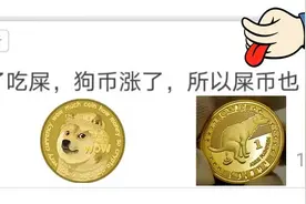 币圈疯了：炒完狗币炒屎币，下一步是炒LowB？图片