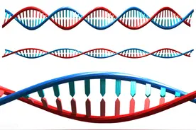 如何利用生物拥有的再生功能，为人类实现返老还童与长生不老图片