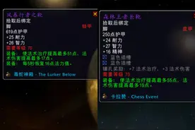 魔兽TBC：团长强分1双鱼拉斯鞋子，萨满委屈退团，KLZ装备更优秀图片