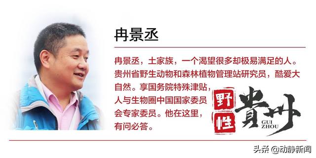 野性贵州 有问必答丨你还在傻傻补钙？这种五彩野果含钙量是牛奶的6倍