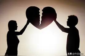 “暖被窝工程”？女性独立，从拥有自己的房子车子狗子和乐子开始图片