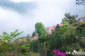 赣州的“亚马逊”了解下！图片