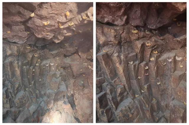 科学证明燕窝没什么功效 2026年有人说燕窝没有功效 科学证明燕窝没什么功效 2026年有人说燕窝没有功效