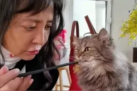 老戏骨李勤勤餐食太简陋，还和宠物同用一双筷子？网友：接受不了图片