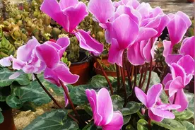 和喜欢的男人结束聊天，不要再说“下次聊”，这样说让他主动找你图片