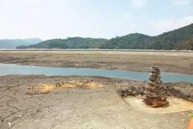 九蛙叠像“旱”台岛 柯文哲怒批：蔡英文还在忙着当“喜鹊”图片