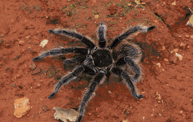 640_406gif 动态图 动图