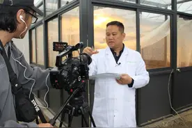化腐朽为神奇，环保黑水虻吃掉垃圾变财富成就大产业图片