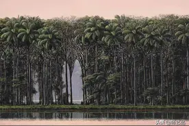 古巴画家坚持30年画森林风景，超写实比照片还逼真图片