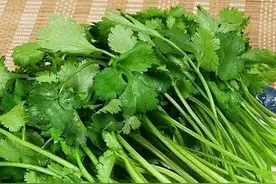 香菜的学名叫什么？很多农村人的叫法才是最正确的！图片